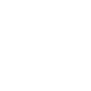 J. Xavier Ind.